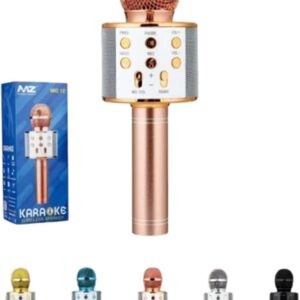 Wireless karaoke microphone (MZ Mic 12)